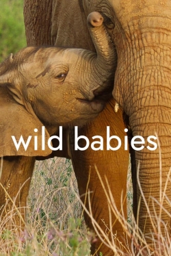 Watch Free Wild Babies Full Movies HD Online MyFlixer