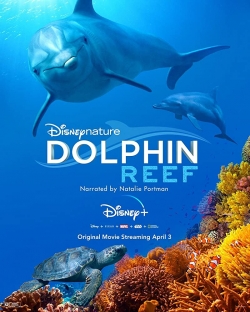 Watch Free Dolphin Reef Full Movies HD Online MyFlixer