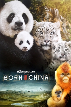 Watch Free Born in China Full Movies HD Online MyFlixer