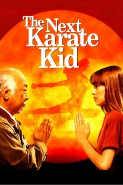 Watch Free The Next Karate Kid Full Movies HD Online MyFlixer