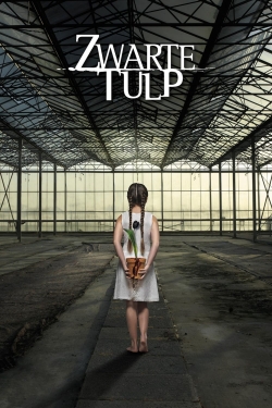 Watch Free Black Tulip Full Movies HD Online MyFlixer