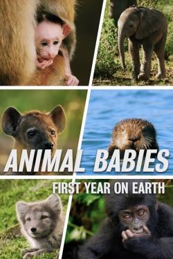 Watch Free Animal Babies: First Year On Earth Full Movies HD Online MyFlixer