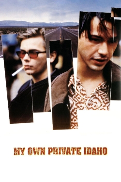 Watch Free My Own Private Idaho Full Movies HD Online MyFlixer