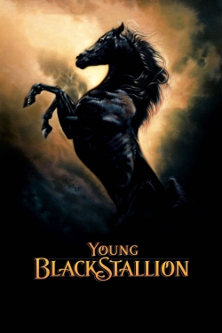 Watch Free Young Black Stallion Full Movies HD Online MyFlixer