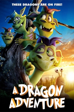 Watch Free A Dragon Adventure Full Movies HD Online MyFlixer