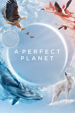 Watch Free A Perfect Planet Full Movies HD Online MyFlixer