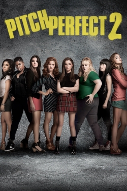 Watch Free Pitch Perfect 2 Full Movies HD Online MyFlixer