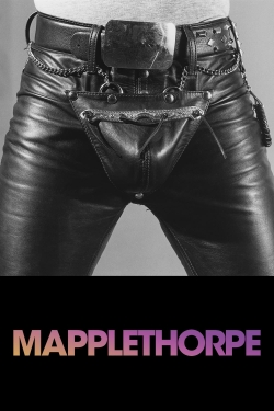 Watch Free Mapplethorpe Full Movies HD Online MyFlixer