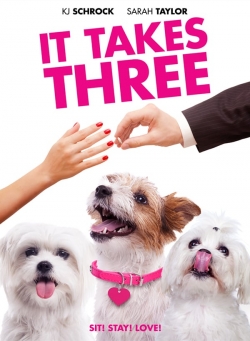 Watch Free It Takes Three Full Movies HD Online MyFlixer