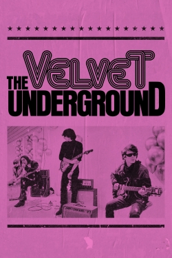 Watch Free The Velvet Underground Full Movies HD Online MyFlixer