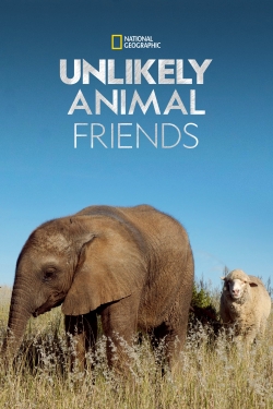 Watch Free Unlikely Animal Friends Full Movies HD Online MyFlixer