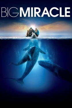 Watch Free Big Miracle Full Movies HD Online MyFlixer