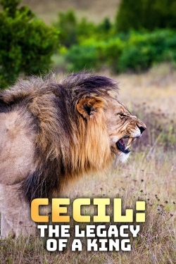 Watch Free Cecil: The Legacy of a King Full Movies HD Online MyFlixer