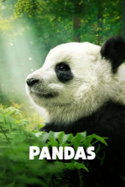 Watch Free Pandas Full Movies HD Online MyFlixer