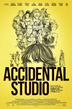 Watch Free An Accidental Studio Full Movies HD Online MyFlixer