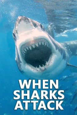 Watch Free When Sharks Attack Full Movies HD Online MyFlixer