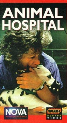 Watch Free Animal Hospital Full Movies HD Online MyFlixer