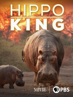 Watch Free Hippo King Full Movies HD Online MyFlixer