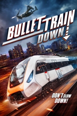 Watch Free Bullet Train Down Full Movies HD Online MyFlixer