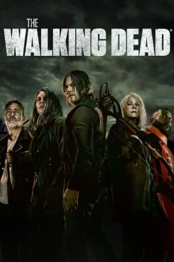 Watch Free The Walking Dead Full Movies HD Online MyFlixer