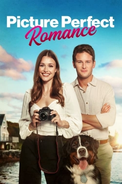 Watch Free Picture Perfect Romance Full Movies HD Online MyFlixer