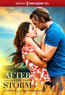 Watch Free After the Storm Full Movies HD Online MyFlixer