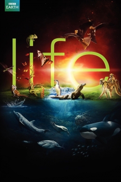 Watch Free Life Full Movies HD Online MyFlixer