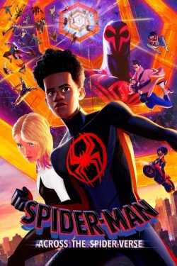 Watch Free Spider-Man: Across the Spider-Verse Full Movies HD Online MyFlixer