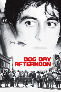 Watch Free Dog Day Afternoon Full Movies HD Online MyFlixer