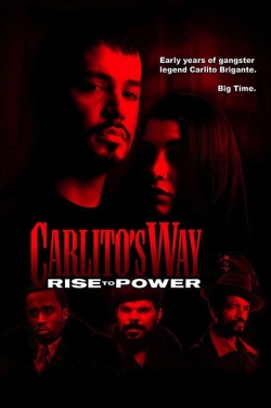 Watch Free Carlito's Way: Rise to Power Full Movies HD Online MyFlixer