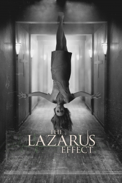 Watch Free The Lazarus Effect Full Movies HD Online MyFlixer