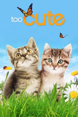 Watch Free Too Cute Full Movies HD Online MyFlixer