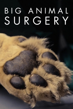 Watch Free Big Animal Surgery Full Movies HD Online MyFlixer