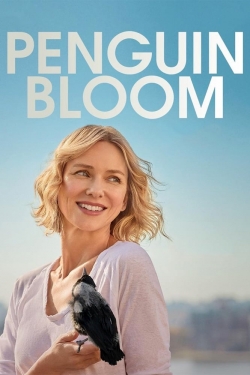 Watch Free Penguin Bloom Full Movies HD Online MyFlixer