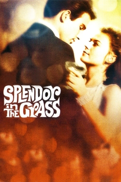 Watch Free Splendor in the Grass Full Movies HD Online MyFlixer