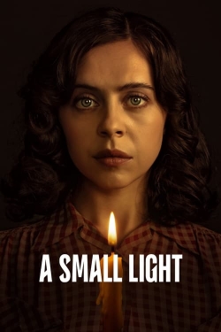 Watch Free A Small Light Full Movies HD Online MyFlixer