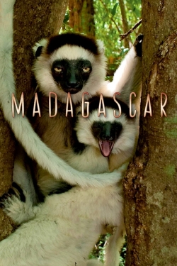 Watch Free Madagascar Full Movies HD Online MyFlixer