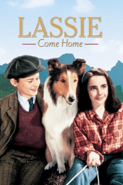 Watch Free Lassie Come Home Full Movies HD Online MyFlixer