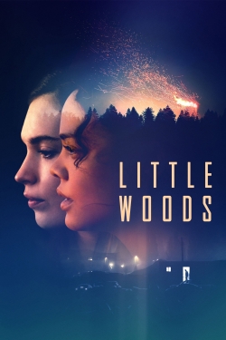 Watch Free Little Woods Full Movies HD Online MyFlixer