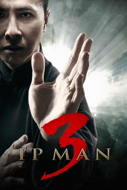 Watch Free Ip Man 3 Full Movies HD Online MyFlixer