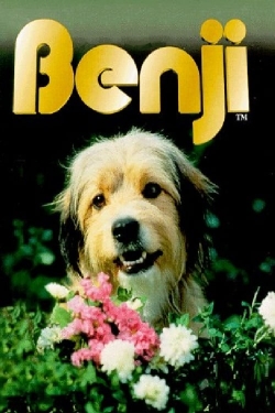 Watch Free Benji Full Movies HD Online MyFlixer