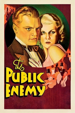 Watch Free The Public Enemy Full Movies HD Online MyFlixer