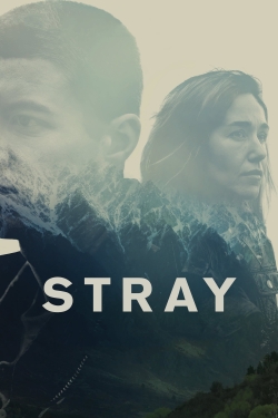 Watch Free Stray Full Movies HD Online MyFlixer