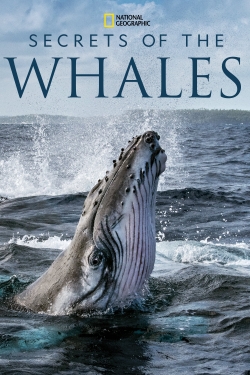 Watch Free Secrets of the Whales Full Movies HD Online MyFlixer