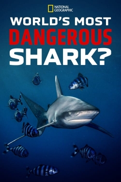 Watch Free World's Most Dangerous Shark? Full Movies HD Online MyFlixer