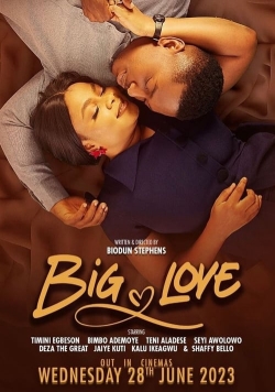 Watch Free Big Love Full Movies HD Online MyFlixer