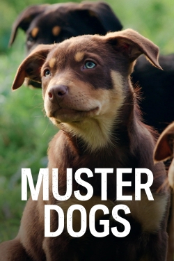 Watch Free Muster Dogs Full Movies HD Online MyFlixer