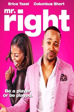 Watch Free Mr. Right Full Movies HD Online MyFlixer