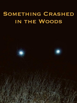 Watch Free Something Crashed in the Woods Full Movies HD Online MyFlixer