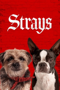 Watch Free Strays Full Movies HD Online MyFlixer